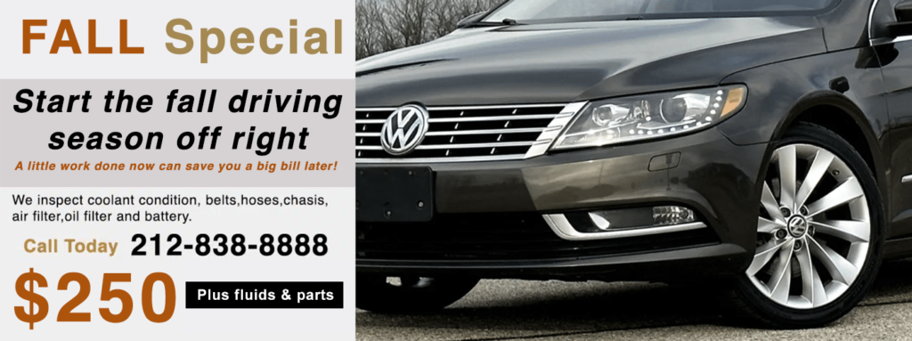 Best Volkswagen dealer alternative in NYC. We do anything the Volkswagen dealer can do and more. Full service VW service, maintenance and repair