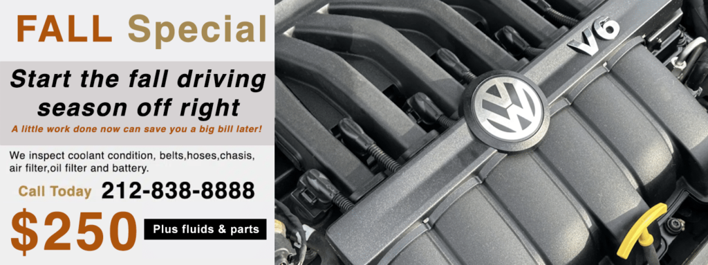 Best VW dealer alternative for NYC. Expert Volkswagen mechanics to help make your vw look and run like new. We do everything the dealer can do and more. The #1 source for VW service, maintenance and repair near me in NYC, Manhattan.